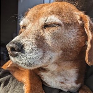 Meet your Posher, Jerimy